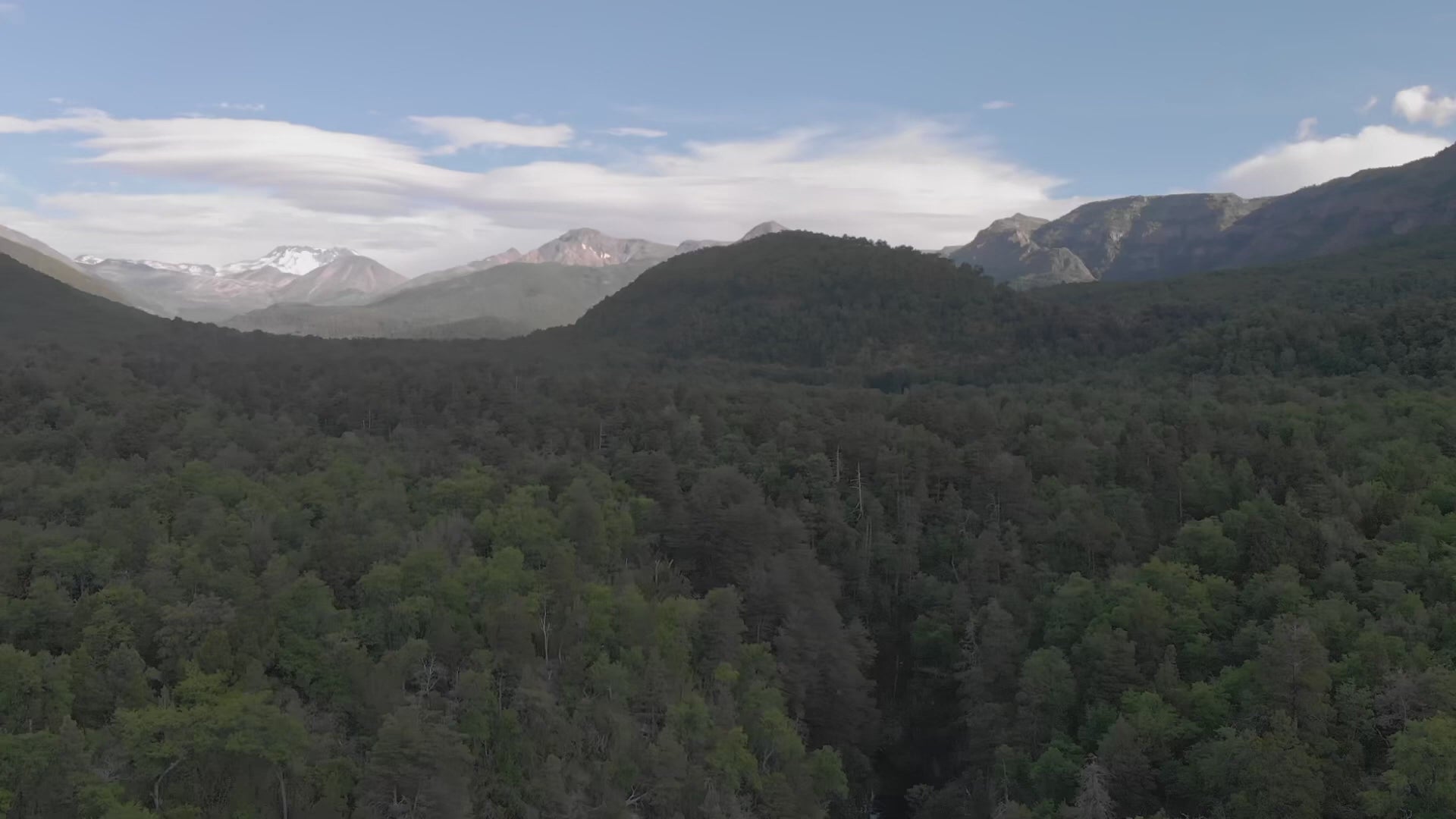 Cargar video: ¿Cómo puede una ciudad ser tan generosa como un bosque?